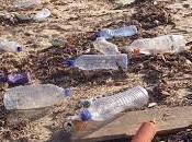 Sulle spiagge allarme rifiuti spiaggiati: Comuni rivieraschi intensifichino raccolta