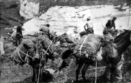 Neviere e nevaroli di Sicilia, viaggio nella storia della granita artigianale siciliana