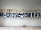 interview with Claudio Cosma #GUAIzineatSENSUS