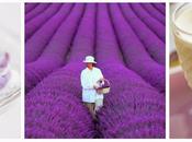 Sweet lavander