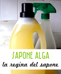 Sapone Alga per Lavatrice - La Regina del Sapone