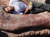 Ritrovato grande sauro conosciuto