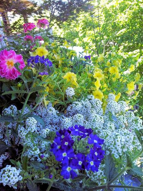 Ho detto basta.......