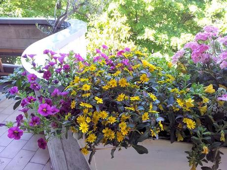 Ho detto basta.......