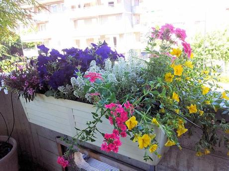 Ho detto basta.......