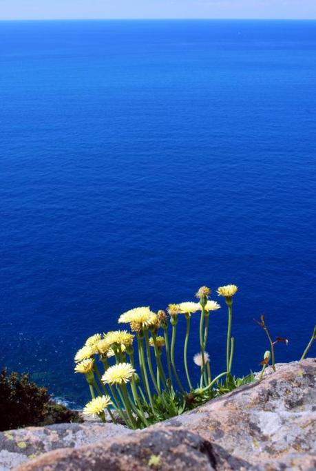 Fra Levanto e Monterosso (foto di Patrick Colgan, 2014)