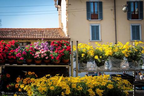 Milano - Il mercato dei fiori