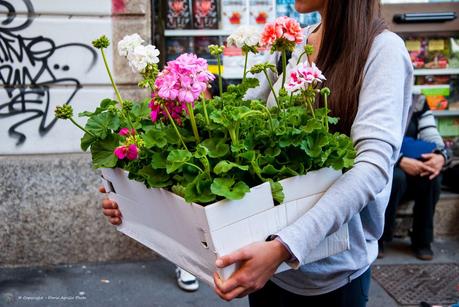 Milano - Il mercato dei fiori