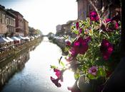 Milano mercato fiori