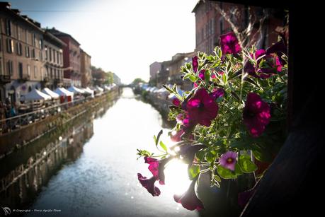 Milano - Il mercato dei fiori