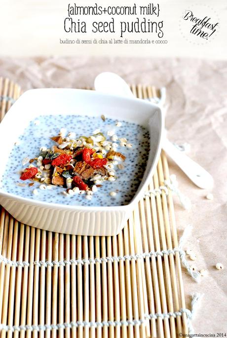 Almonds & coconut milk chia seed pudding