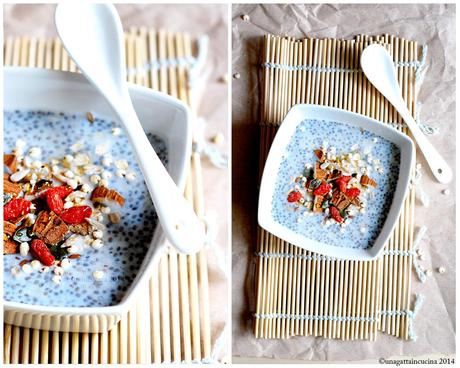 Almonds & coconut milk chia seed pudding