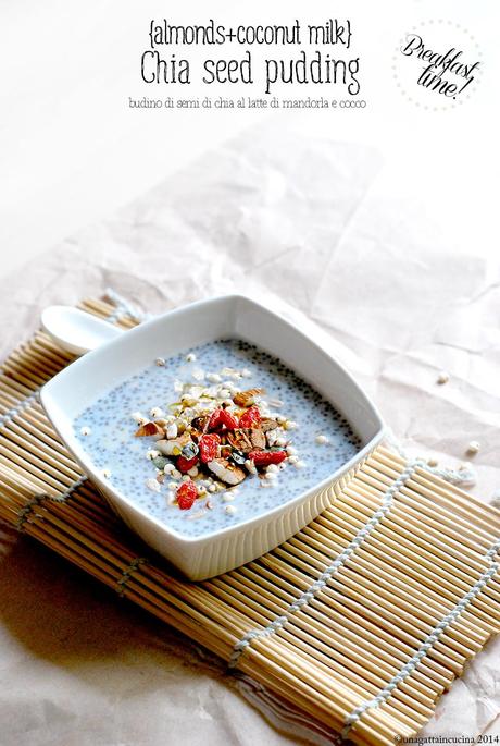 Almonds & coconut milk chia seed pudding