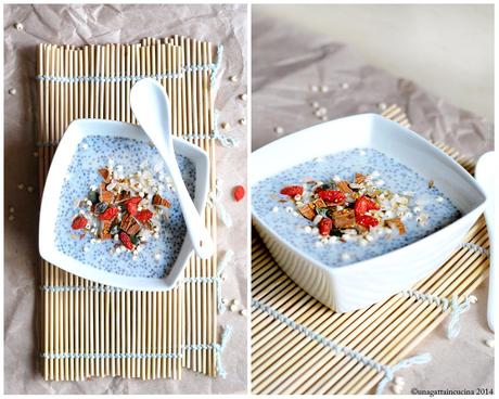 Almonds & coconut milk chia seed pudding