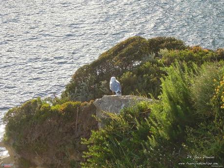 Arpa e flauto al tramonto per le Suggestioni all'Imbrunire di Napoli