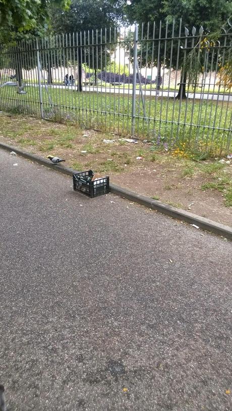 La situazione imbarazzante di tutte le aree verdi della città senza che l'assessore Estella Marino se ne pre-occupi. Ecco i giardini di Viale Carlo Felice