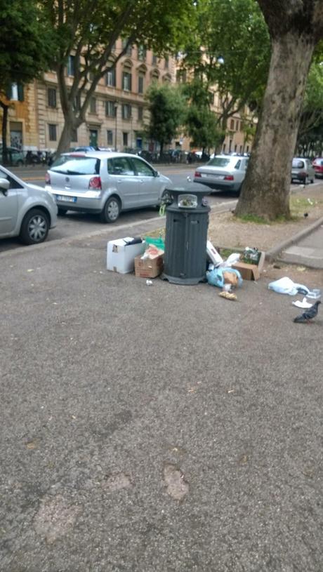 La situazione imbarazzante di tutte le aree verdi della città senza che l'assessore Estella Marino se ne pre-occupi. Ecco i giardini di Viale Carlo Felice