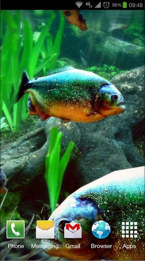  Piranha Aquarium 3D   un pericoloso Live Wallpaper per Android ;)