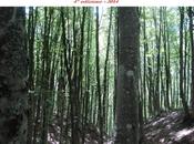 Premio Nazionale d’Arte Saltino Vallombrosa “Libera…mente” edizione 2014