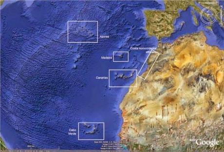 L'Enigma dei Guanci: i Discendenti dei Sopravvissuti di Atlantide