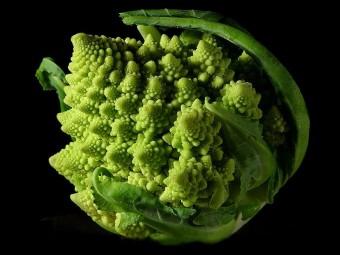 La forma frattale di un broccolo romanesco