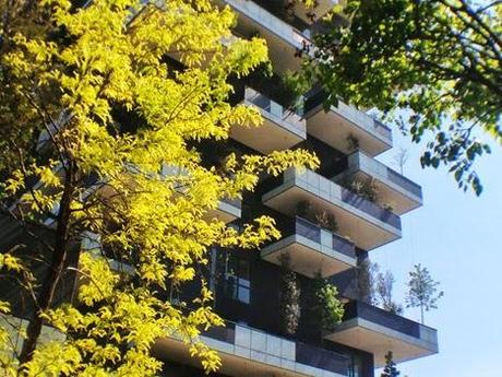 Bosco Verticale - seconda parte