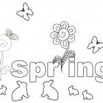 spring_colouring
