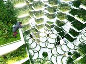 Urban Skyfarm. fattoria verticale