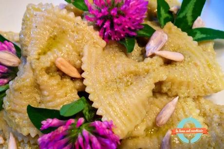 Farfalle rigate risottate in crema di fave e fiori di trifoglio