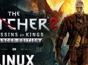 Witcher Assassin’s Kings approda Linux; requisiti sistema