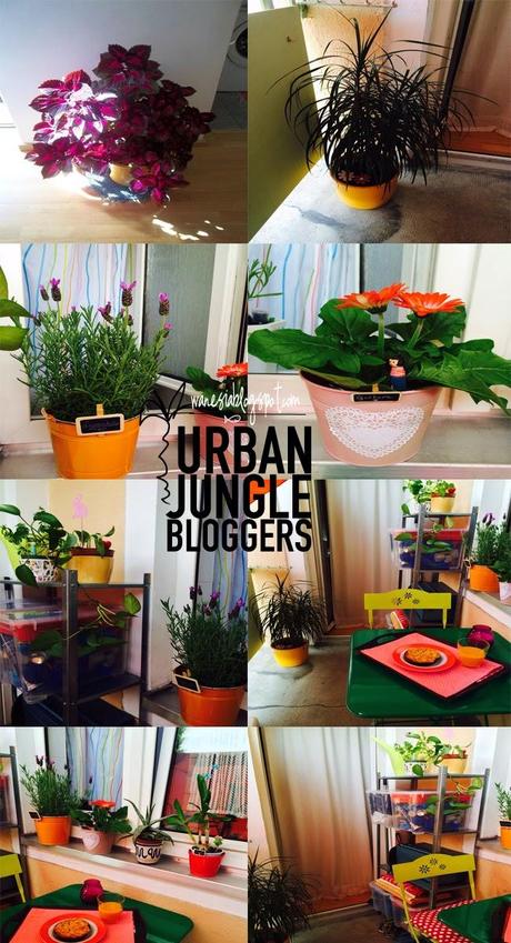 Urban Jungle bloggers#1