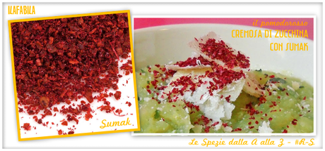 Sumak - Cremosa di Zucchina con Sumak - Il PomodoRosso