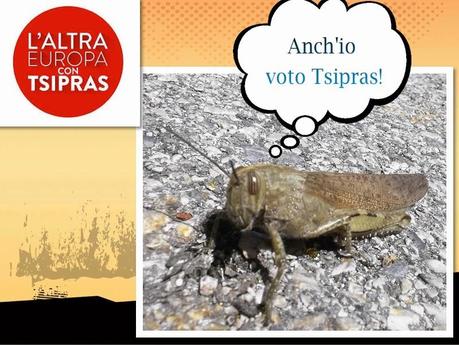 STOP TTIP (diffondete, stampate, volantinate)