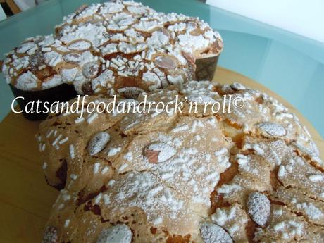 Colomba delle Sorelle Simili, con qualcosa di mio