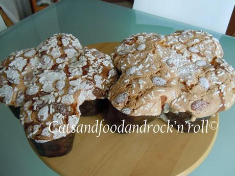 Colomba delle Sorelle Simili, con qualcosa di mio