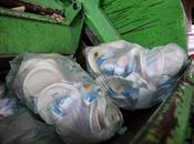 Dall’economia lineare all’economia circolare: rifiuto come risorsa secondo modello #Novamont