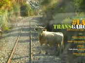 #transgarganica: Spiriti transumanti viaggio verso Salento