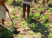 Impariamo amare terra.