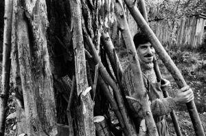 Luis Sepúlveda e la storia di quel violino in Patagonia