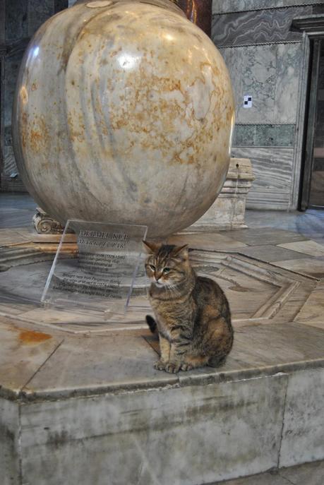 Le città dei gatti: dedicato ai gatti che ho incontrato in viaggio