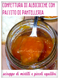 Confettura di Albicocche con Passito di Pantelleria - Sciroppo di Mirtilli e Piccoli Equilibri