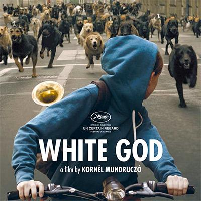 white-god