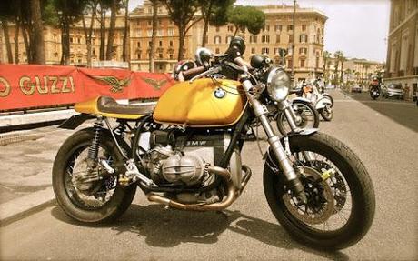 Golden beemer of the day