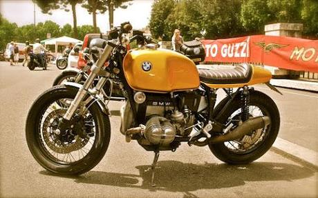 Golden beemer of the day