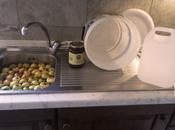 FERMENTATI ....4 mesi dopo ...che successo???