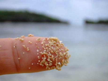 Star sand a Iriomote (Geomr, da Wikimedia commons)