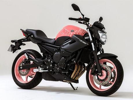 Yamaha XJ6 Sakura ABS 2014