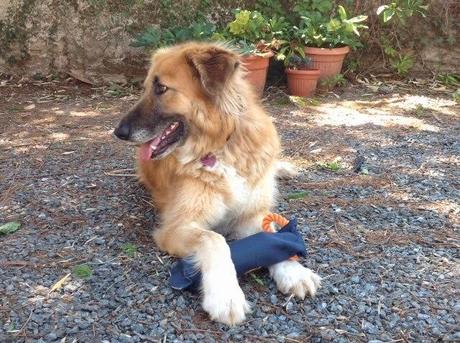 Consigliato da Delia