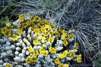 Perugia Flower Show 2014, una bella passeggiata di primavera