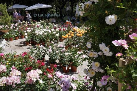 Perugia Flower Show 2014, una bella passeggiata di primavera